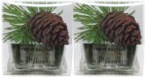 Winter Woods Refill Bulbs (2) 2 Pack