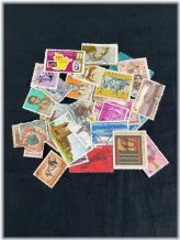 South Central African Stamp Collection - 43 Unique Used Stamps from Congo and South Africa (1970s-80s)