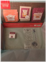 Comforting Koala Embossing Set