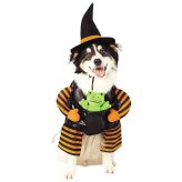 Enchanted Witch Costume for Pets