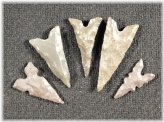 Lot of Tidikelt Arrowheads