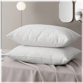 FeatherSoft Queen Pillows