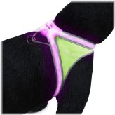 LuminarPaws Visibility Harness