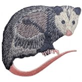 Possum Pal Patch