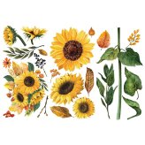 Sunflower Afternoon Decor Transfers