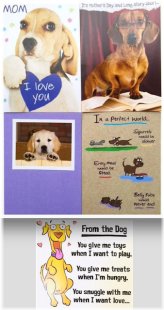 Pawsome Mother's Day Greetings