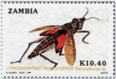 Zambian Grasshopper Pyromorphid Stamp
