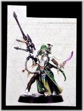 Aeldari Eldar Asuryani Ranger (1) New on Sprue Amallyn Shadowguide