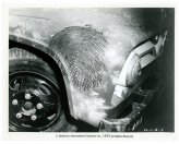 Monochrome Memories: 1950s Snapshot Collection