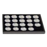 Silver Eagle Coin Display Tray