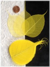 Golden Veined Banyan Leaves