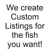 Fin-Tastic Deals: Your One-Stop Shop for Affordable African Cichlid Supplies