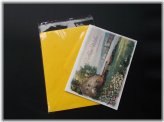 Crystal Clear Envelopes