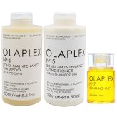 Repair & Protect Hair Trio