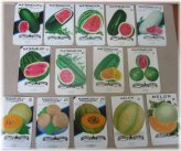 Melon Seed Packet Collection