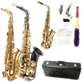 Midnight Ebony Alto Saxophone Kit