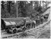 Vintage Reprint: 1902 Horse Logging Wagon on Railway, CA