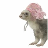 Ferret Winter Cap by Marshall Pet - Pink Knit Headwear for Keeping Your Pet Warm and Stylish