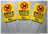 Pawsitive Reminder Sign with Camera Smile