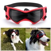 PawShield Eye Gear for Dogs - Adjustable, Windproof, UV & Snow Protection