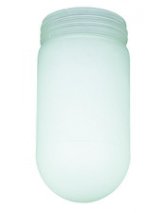 Frosted Globe Shade