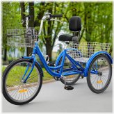 Blue Horizon Tricycle