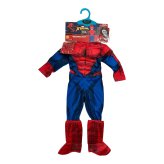 Arachnid Adventure Costume