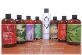 Chaz Dean Hair Cleansing Kit