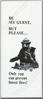 Forest Fire Prevention Vintage Print Ad