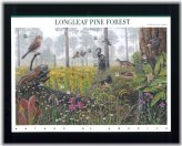 Longleaf Pine Forest Postage Stamp Sheet