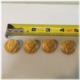Golden Era Military Button Collection