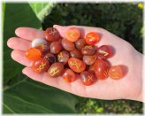 Elder Futhark Carnelian Rune Set with Velvet Pouch