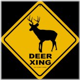 Rustic Deer Crossing Street Sign Wall Decor