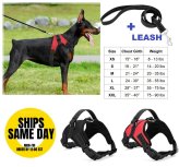 ComfortFit Harness and Leash Set