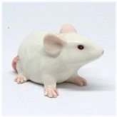 Country Critter Rabbit Figurine