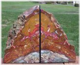 Marston Ranch Polished Jasper Bookends