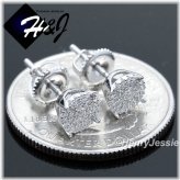 Silver Frost Stud Earrings