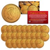 Caribou Quarter Collection - 25 Uncirculated 2005 Coins with Gold Clad