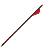 Rapt-X Vanes