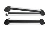 SnowSport Roof Carrier