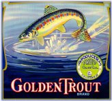 Golden Trout Orange Citrus Fruit Crate Label Art Print