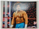 Carlito Colon Jr Signed 8x10 Photo