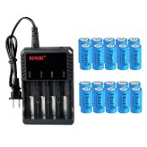 PowerCell Rechargeable Lithium Batteries and Charger Set