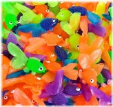 Goldfish Fun Pack