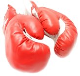 Red Training Punch Gloves