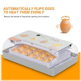 EggMaster 20 Automatic Bird Hatchery