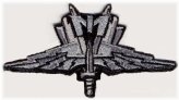 Galactic Infantry Wings Patch