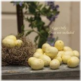 Sunshine Egg Collection