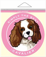 Regal Blenheim Magnets