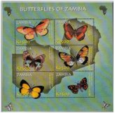 Zambian Butterfly Collection